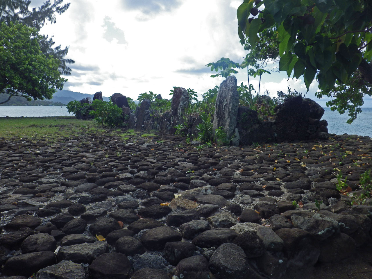 pierres dressées sur un marae de taputapuatea (Raiatea - Polynésie française)